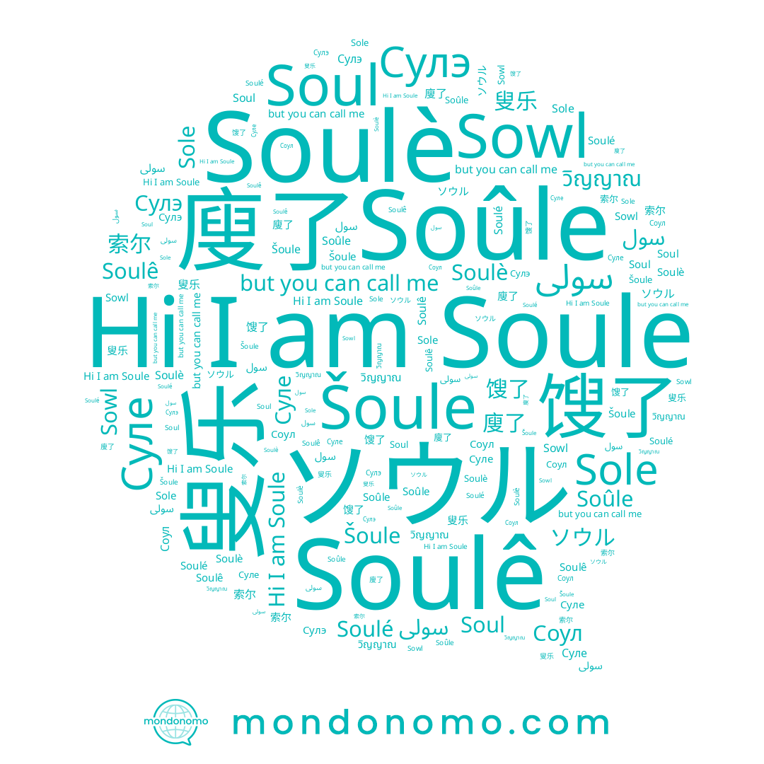 name Soul, name Soûle, name Sowl, name Сулэ, name 索尔, name Суле, name วิญญาณ, name سول, name ソウル, name 叟乐, name Šoule, name 廋了, name 馊了, name Sole, name Soulè, name Soulé, name Soulê, name Soule