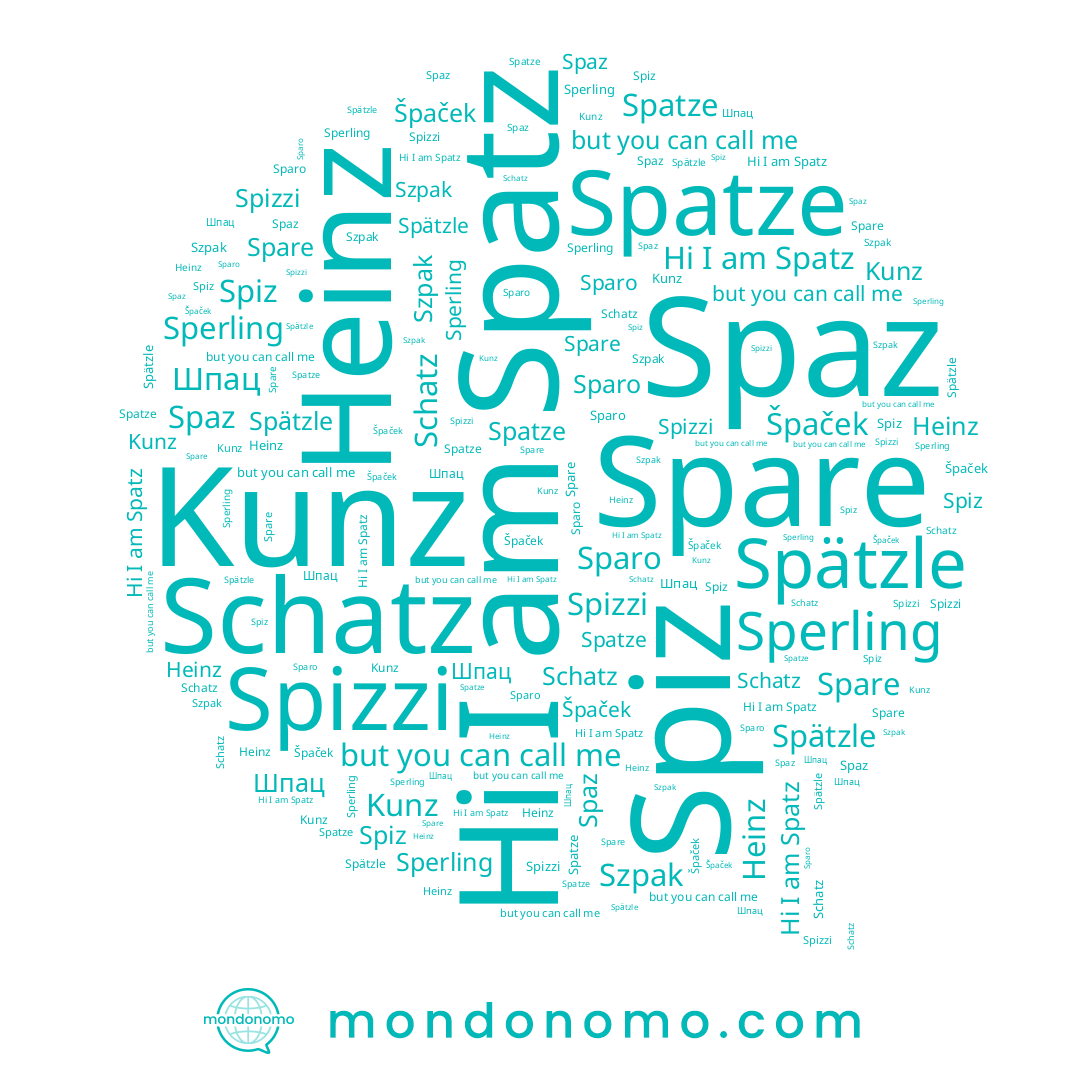 name Sperling, name Spare, name Spiz, name Spizzi, name Spätzle, name Spatz, name Špaček, name Schatz, name Spaz, name Heinz, name Szpak, name Kunz, name Sparo, name Шпац, name Spatze