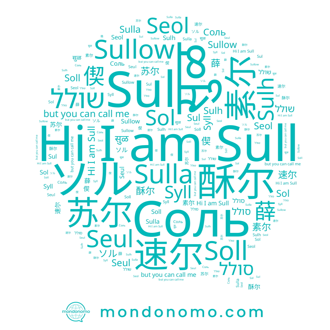 name Sullow, name Sulla, name Sul, name ソル, name 偰, name Seol, name सुळ, name 苏尔, name 薛, name Seul, name Soll, name Соль, name 酥尔, name שולל, name Sull, name Sol, name 速尔, name Syll, name 素尔, name סולל, name 설, name Sulh