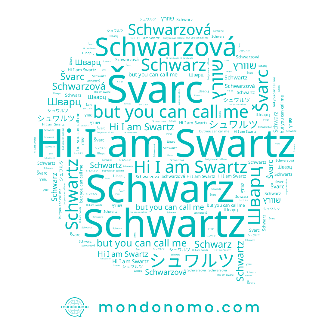 name Schwarz, name Švarc, name Swartz, name שוורץ, name Schwarzová, name Schwartz, name Шварц