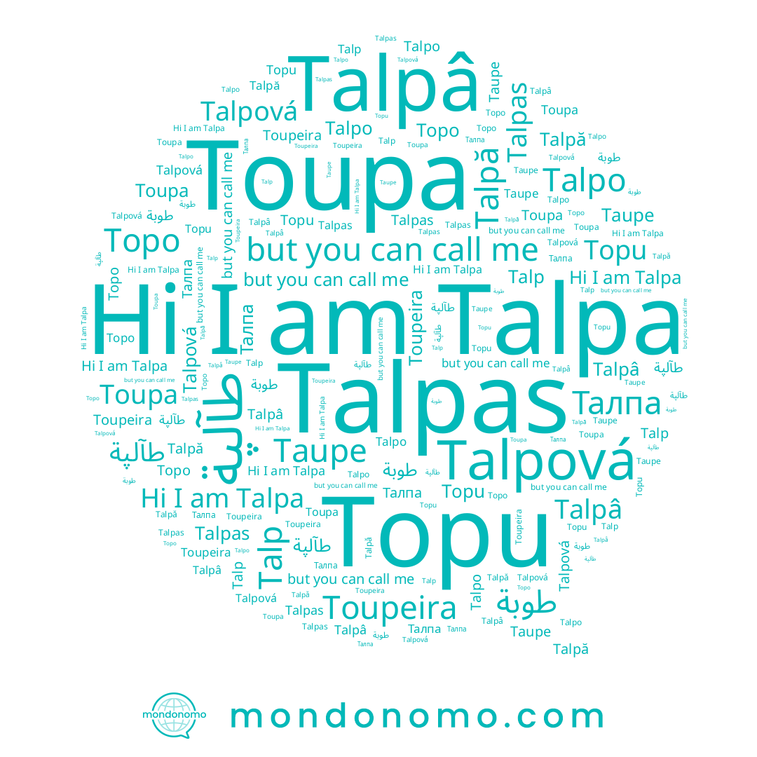 name Topo, name Talp, name Talpas, name Talpa, name طوبة, name طآلپة, name Toupa, name Talpo, name Topu, name Talpâ, name Toupeira, name Talpă, name Taupe, name Талпа, name Talpová