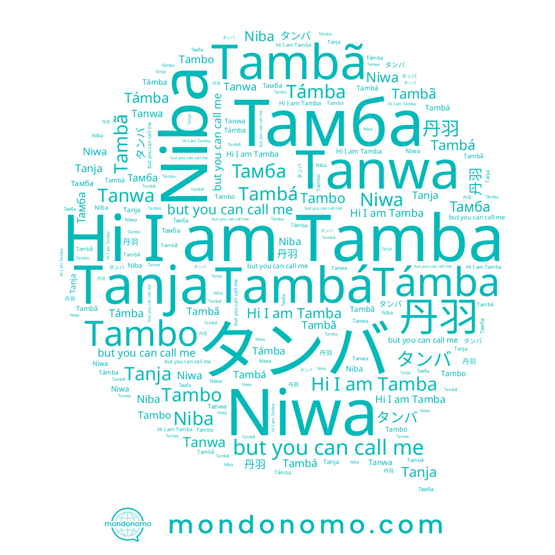 name Niba, name Niwa, name Tanja, name 丹羽, name タンバ, name Tambã, name Tambo, name Támba, name Tambá, name Tanwa, name Tamba