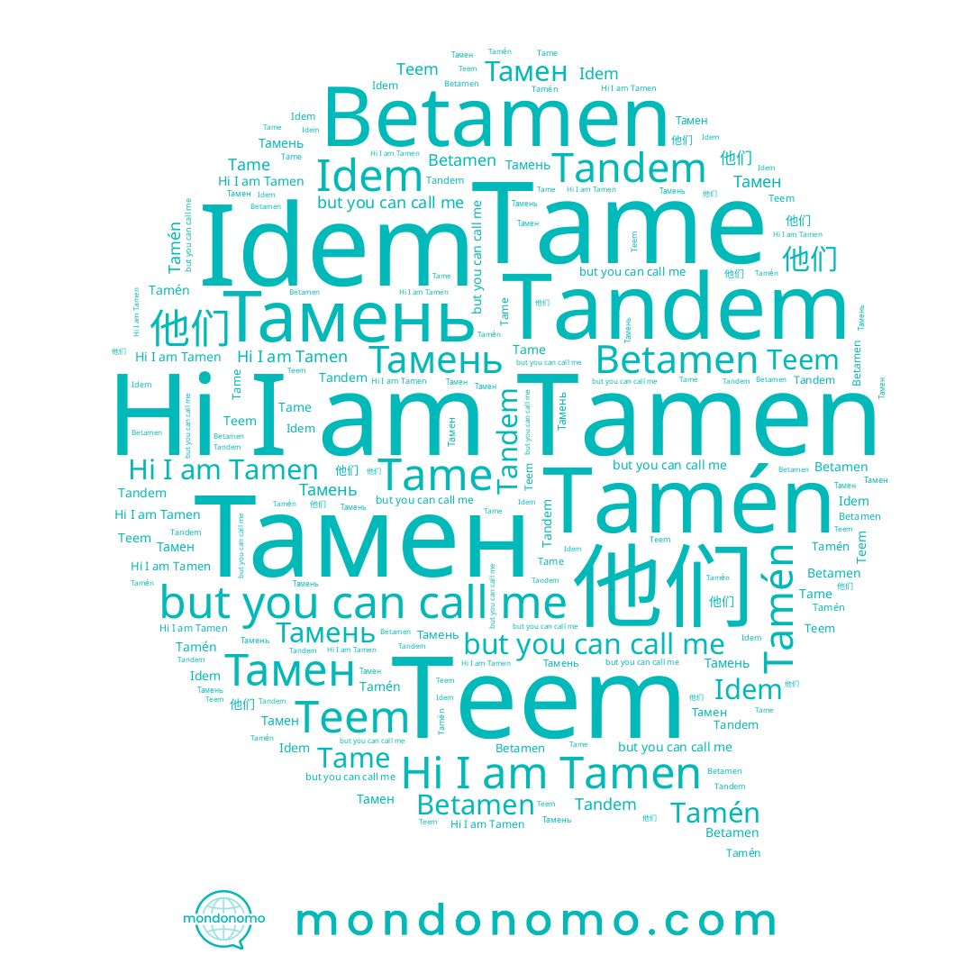 name Tame, name Тамен, name Тамень, name Tamen, name Idem, name 他们, name Tamén, name Teem, name Betamen