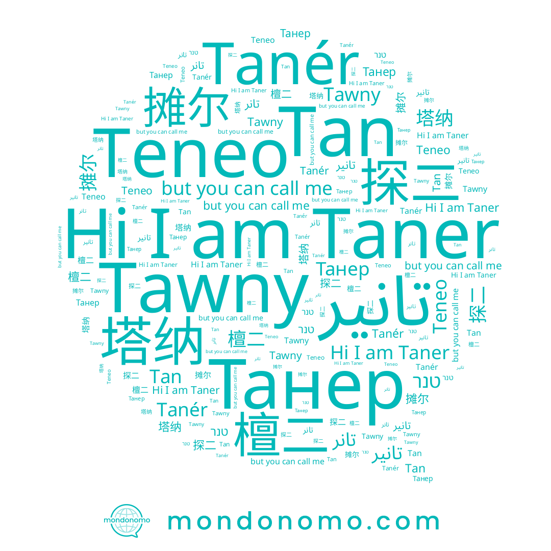 name טנר, name Tawny, name Tanér, name 探二, name Tan, name 摊尔, name 檀二, name 塔纳, name Танер, name Taner, name تانر