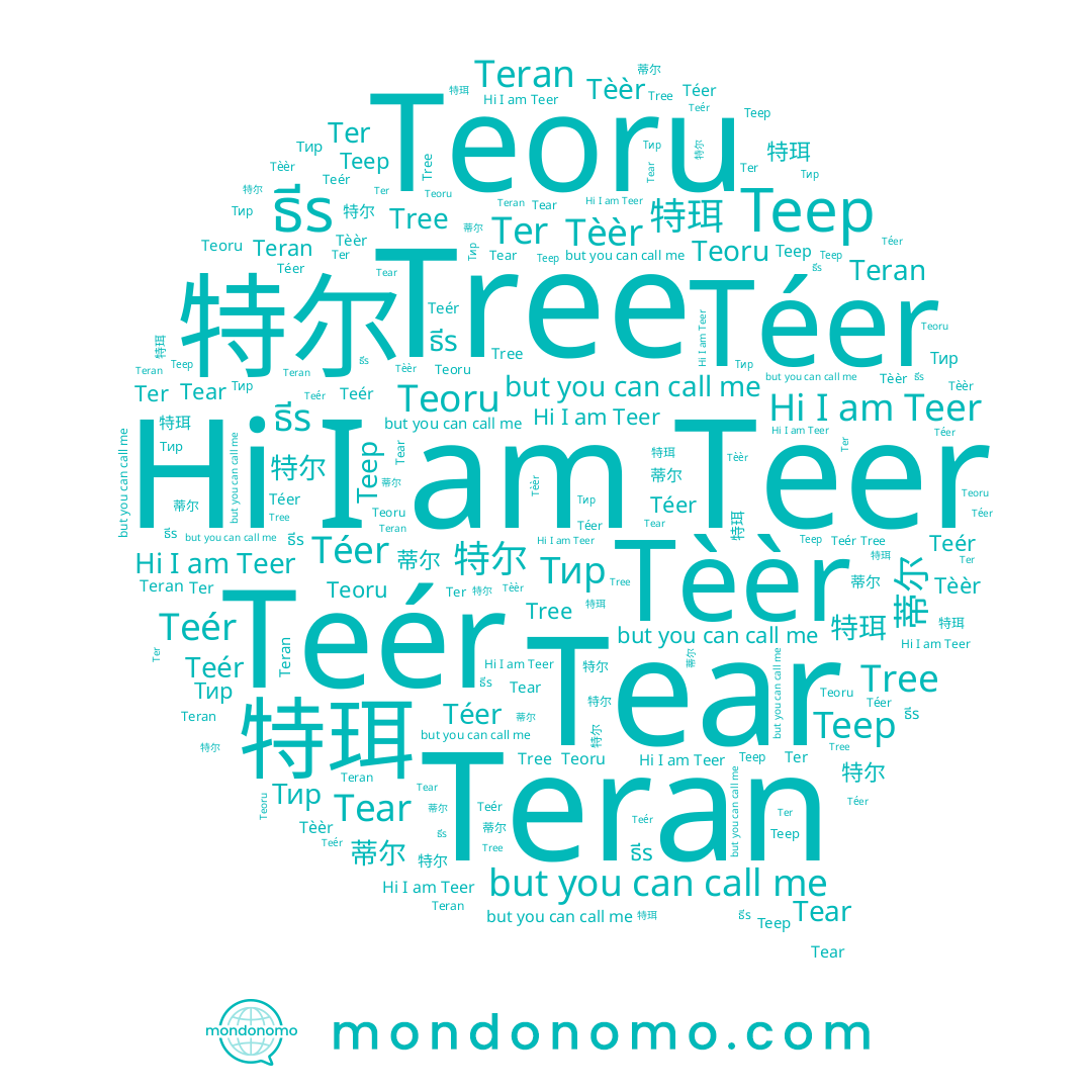 name Ter, name Tear, name Теер, name Tree, name Tèèr, name 特珥, name Teoru, name Teer, name ธีร, name 特尔, name 蒂尔, name Teran, name Téer, name Teér
