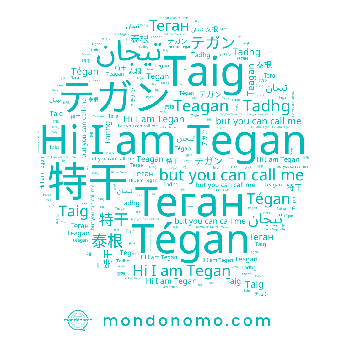 name 特干, name Taig, name Tegan, name Теган, name Teagan, name テガン, name 泰根, name Tadhg, name Tégan