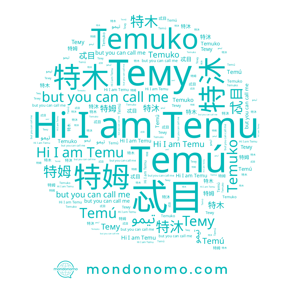 name 特姆, name 忒目, name Temuko, name Temu, name Temú, name تيمو, name 特沐, name Тему, name 特木