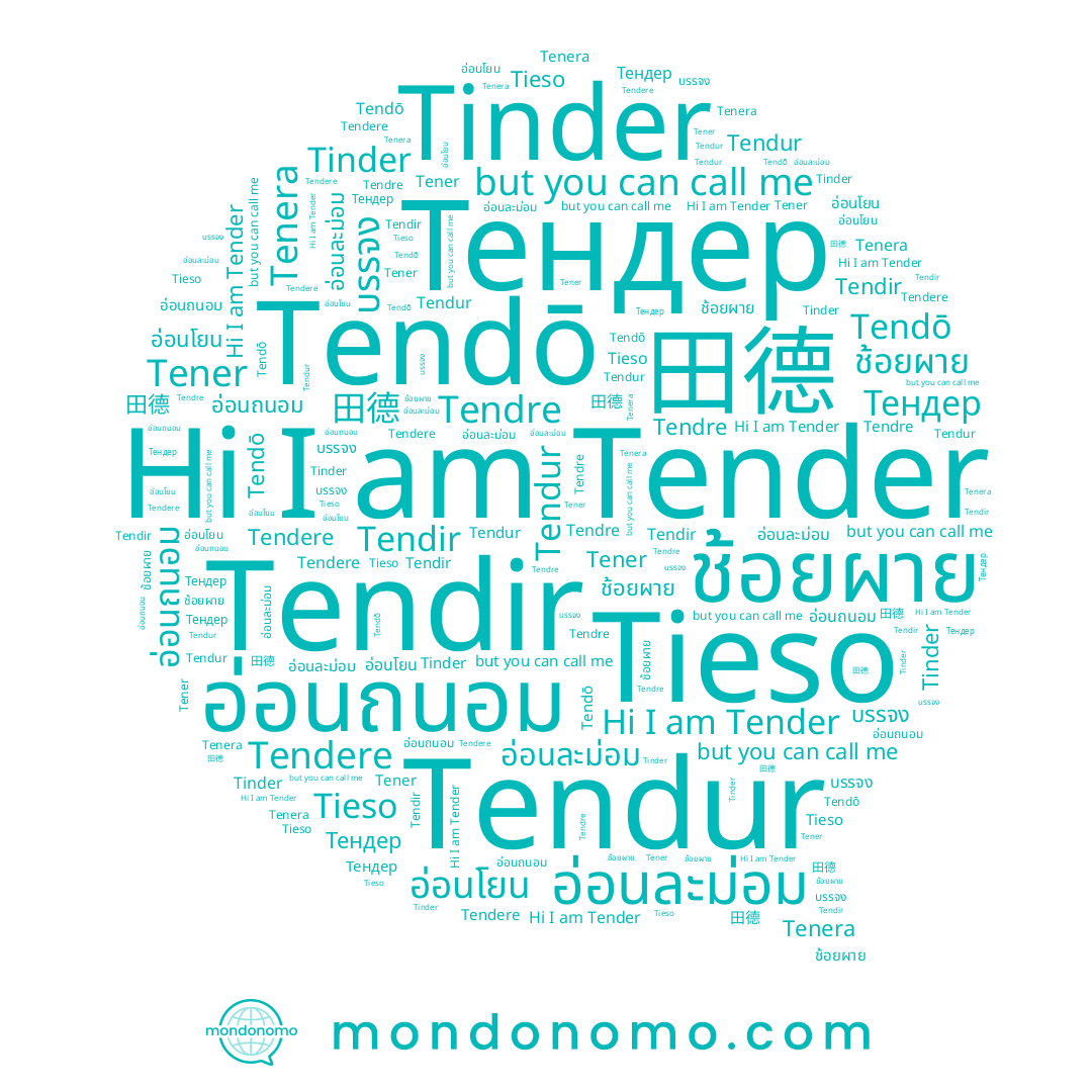 name Tendere, name อ่อนถนอม, name Tendur, name Tenera, name บรรจง, name 田德, name Tender, name อ่อนโยน, name Tener, name Tendre, name Tinder, name ช้อยผาย, name Tendir, name อ่อนละม่อม, name Tieso