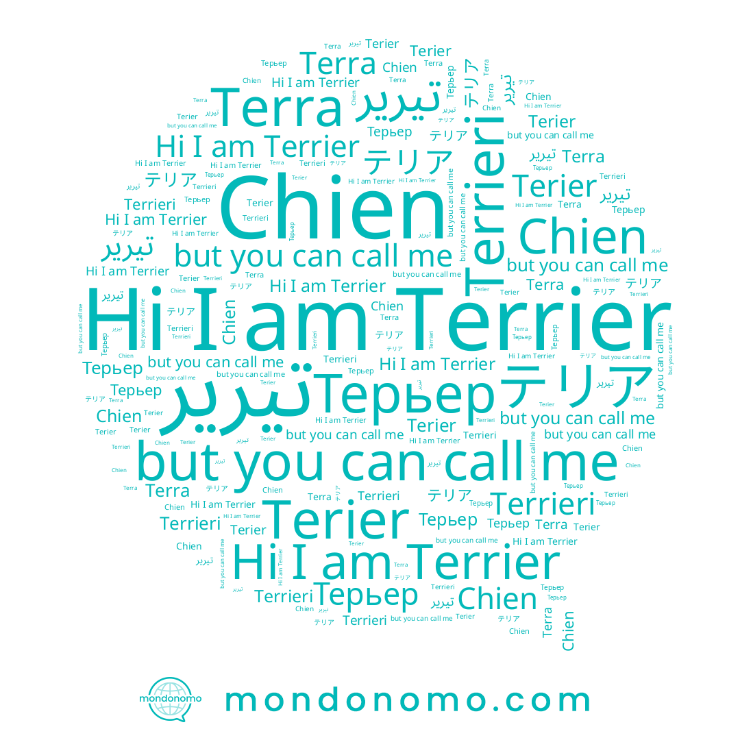name Terrieri, name Терьер, name Chien, name Terier, name Terrier, name Terra