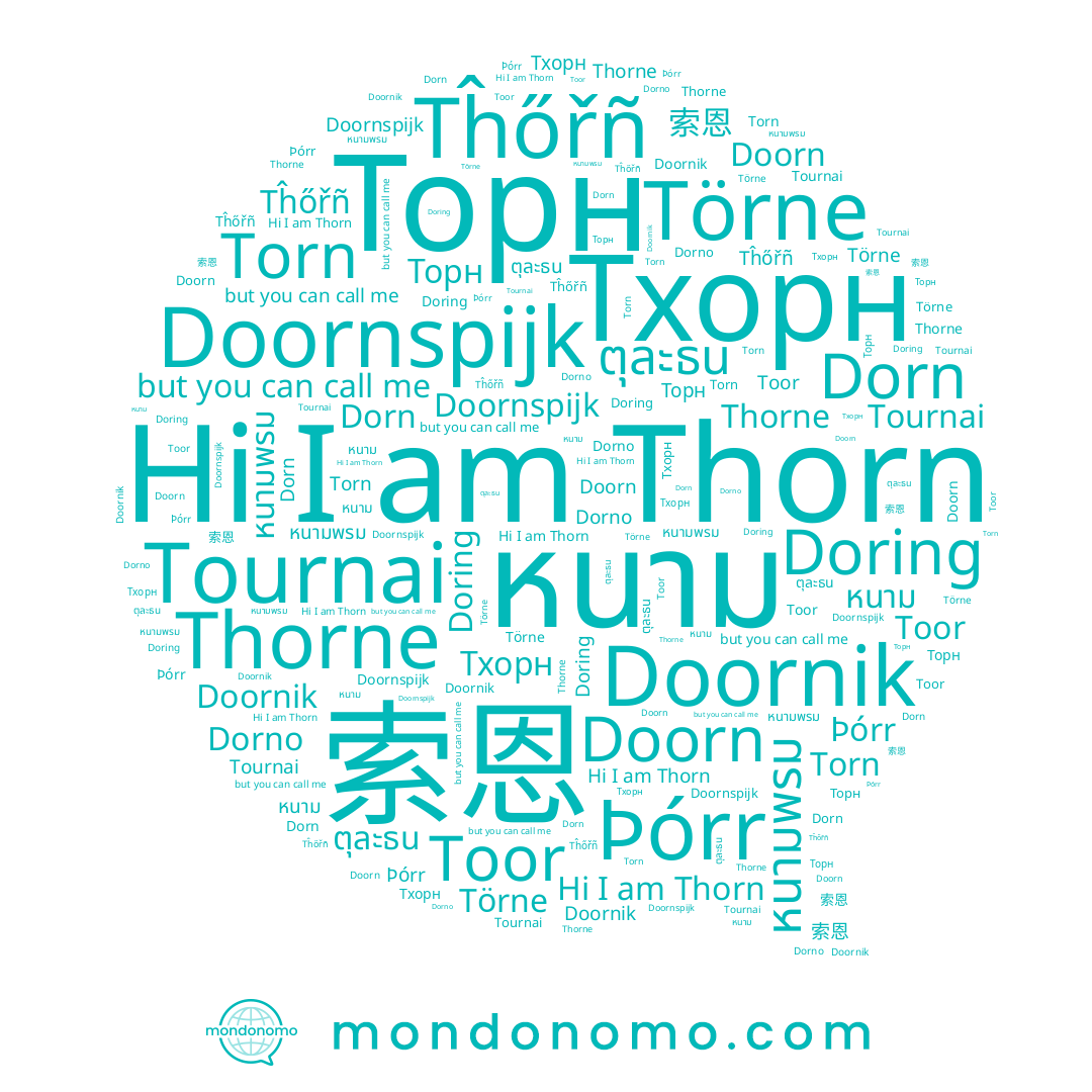 name Doring, name Тхорн, name Torn, name Tĥőřñ, name 손, name Þórr, name Dorno, name Doorn, name Thorne, name หนาม, name Toor, name Törne, name หนามพรม, name Dorn, name Thorn, name Торн, name Doornik, name ตุละธน