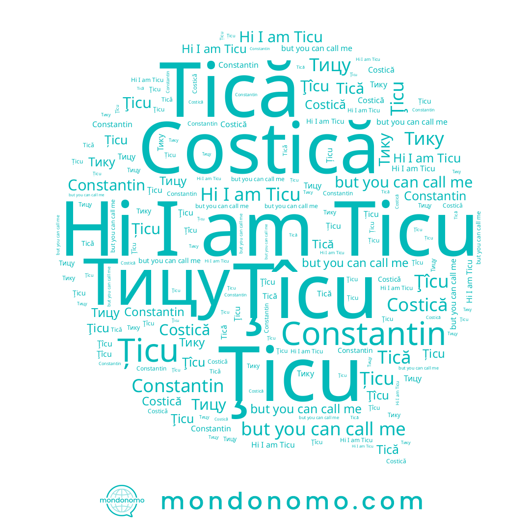 name Ticu, name Тику, name Ţîcu, name Тицу, name Țicu, name Tică, name Costică, name Constantin