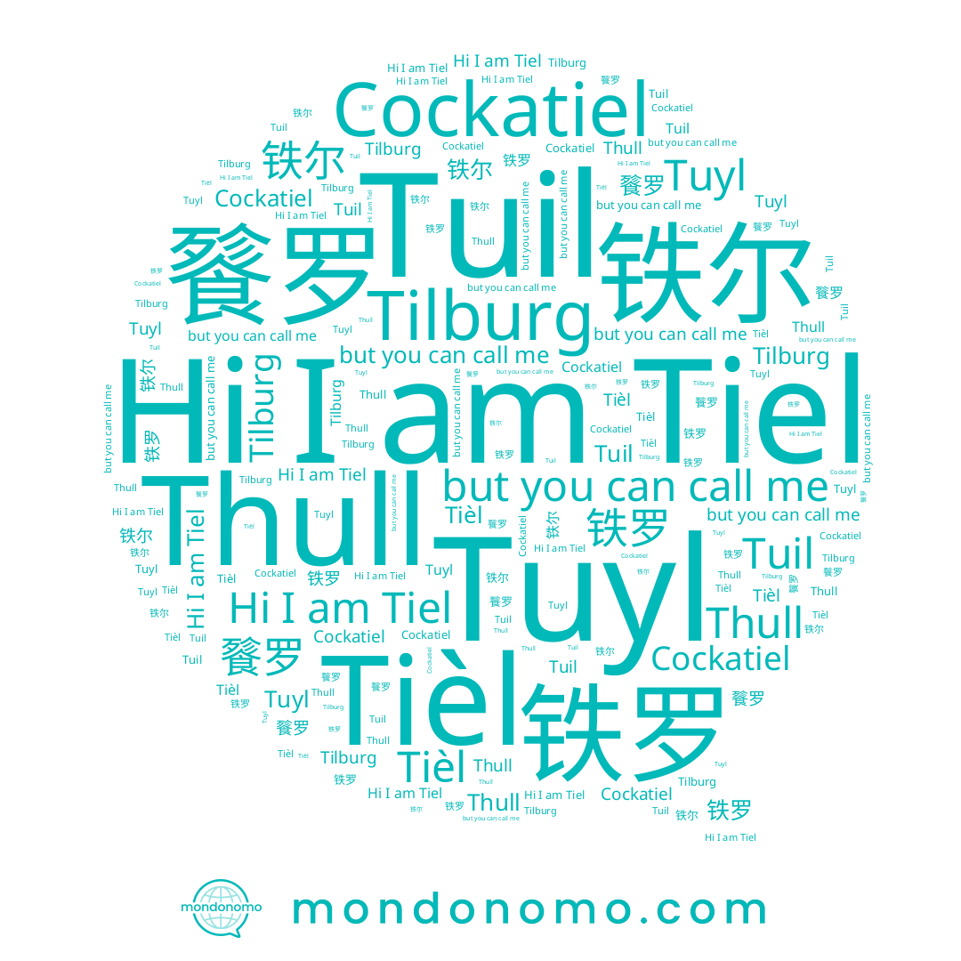 name Tuil, name 铁罗, name Tiel, name Tilburg, name Tièl, name 铁尔, name Cockatiel, name Tuyl, name 餮罗, name Thull