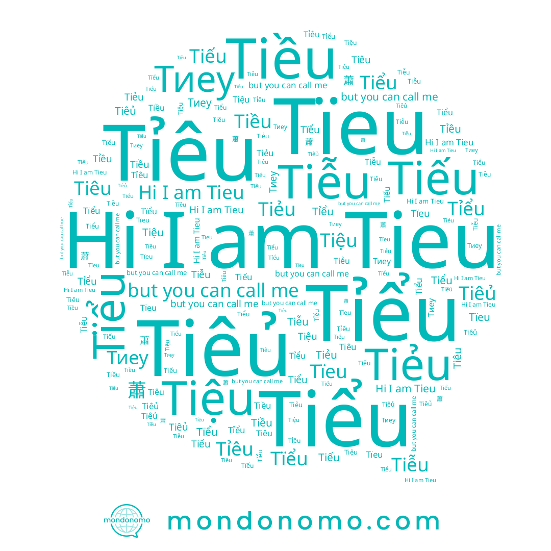 name Tiễu, name Tiếu, name Tïểu, name Tieu, name Tiệu, name Tỉêu, name Tiều, name Тиеу, name Tiẻu, name 蕭, name Tiêu, name Tiêủ, name Tỉểu, name Tïeu, name Tiểu