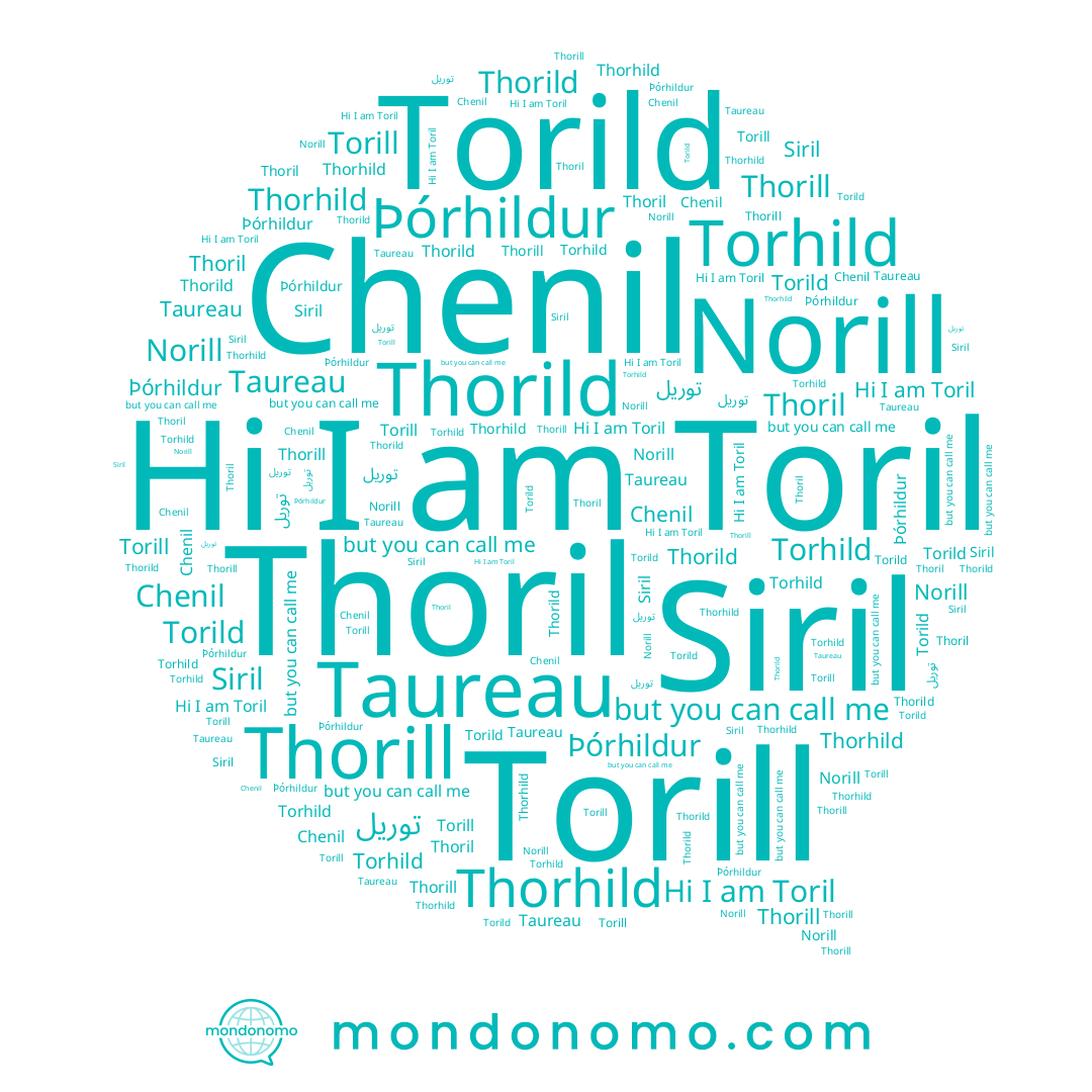 name Thorhild, name Taureau, name Thorill, name Torhild, name Siril, name Norill, name Torill, name Thoril, name Þórhildur, name Chenil, name Toril, name Torild, name Thorild
