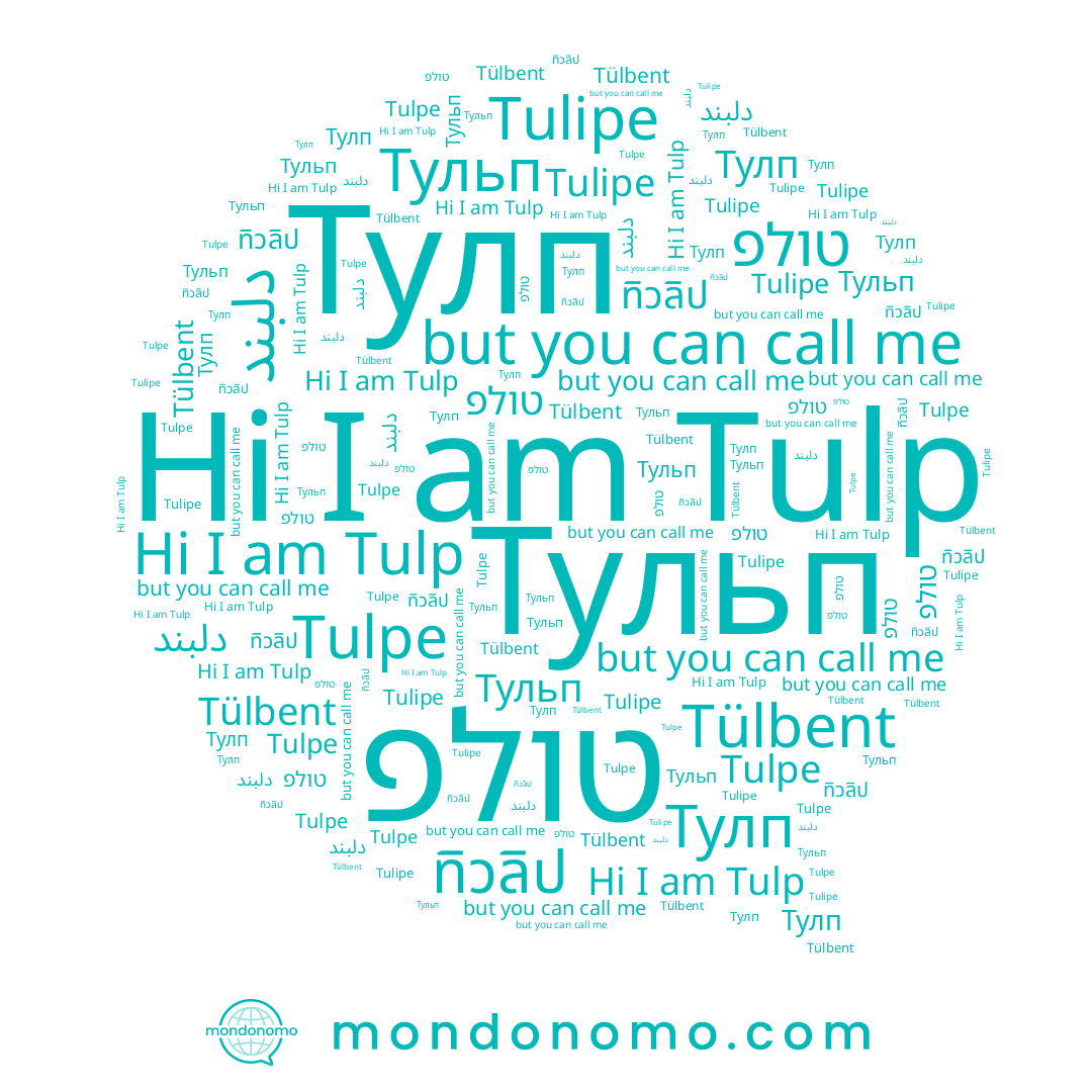 name ทิวลิป, name טולפ, name Тулп, name Tulpe, name دلبند, name Tulp, name Тульп, name Tulipe, name Tülbent