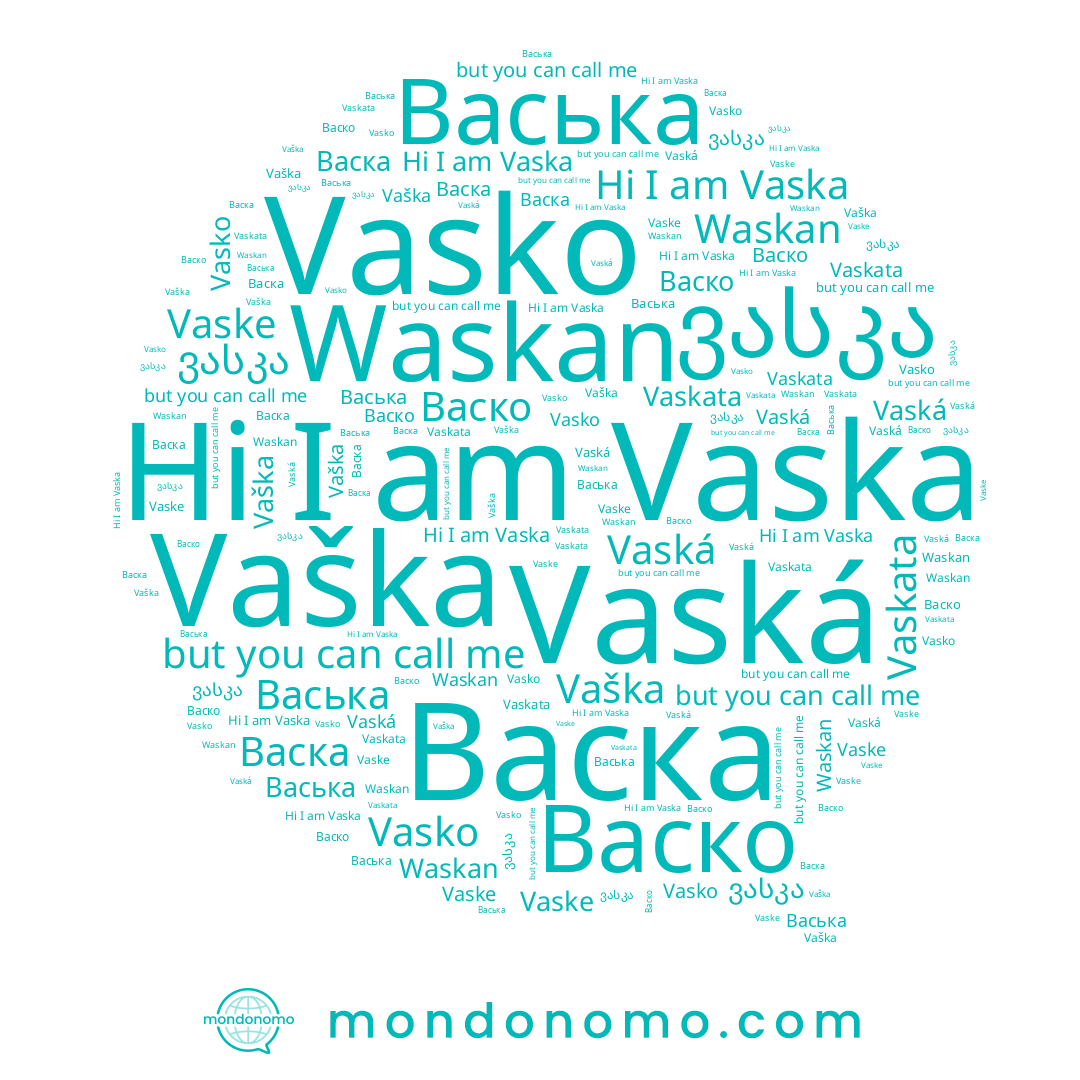 name Vaška, name Vaske, name Vaská, name Васка, name Vasko, name Васька, name ვასკა, name Васко, name Vaska, name Waskan