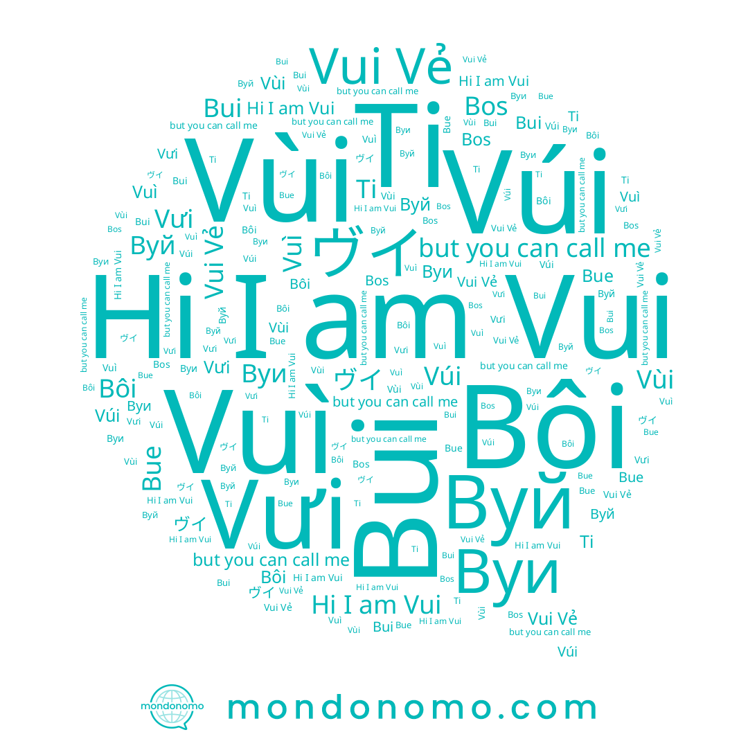 name Вуй, name Bôi, name Ti, name Bue, name Vùi, name Vui Vẻ, name Vúi, name Vui, name Вуи, name ヴイ, name Bui, name Vưi, name Vuì, name Bos