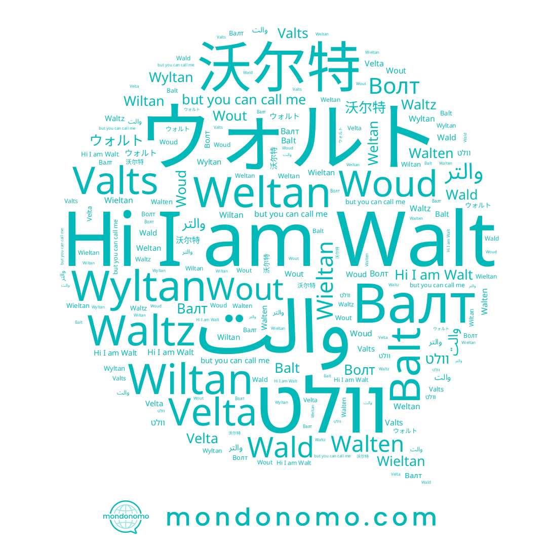 name Wyltan, name Weltan, name Woud, name Balt, name Valts, name Waltz, name Wout, name Velta, name والتر, name Wiltan, name Walt, name والت, name Walten, name Валт, name וולט, name Wieltan, name Wald