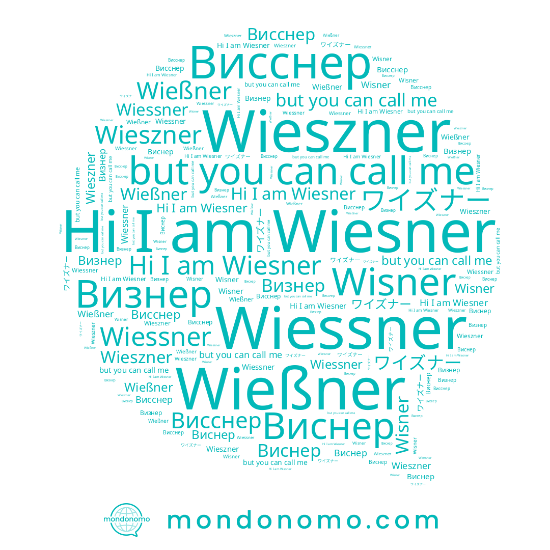 name Wiesner, name Wießner, name Wisner, name Висснер, name Wieszner, name Wiessner, name Визнер, name Виснер, name ワイズナー