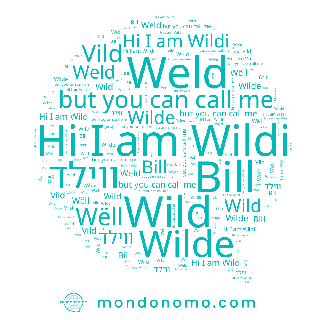 name Wildi, name ווילד, name Vild, name Wild, name Weld, name Bill, name Wilde