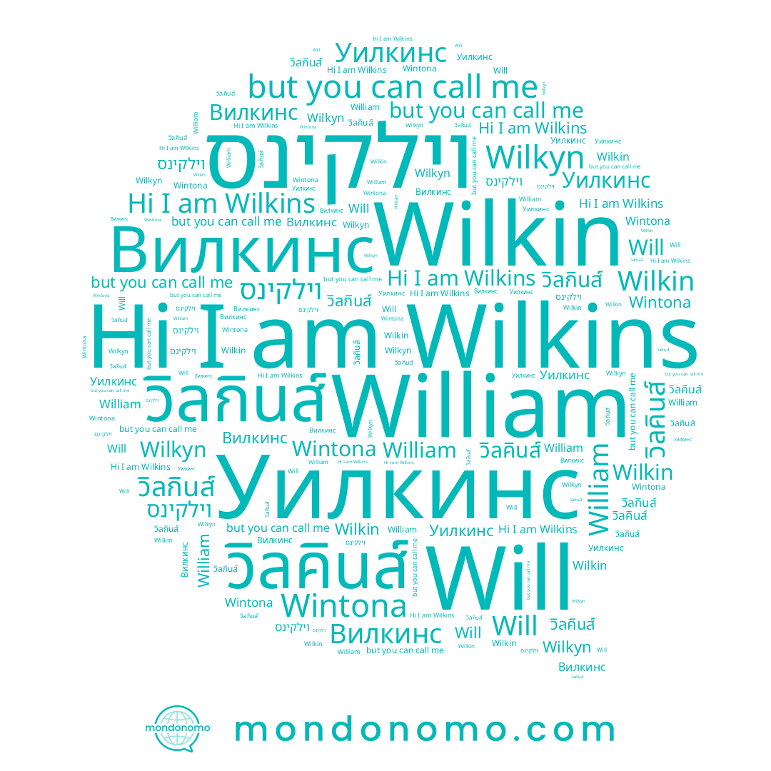 name Wilkin, name Wilkyn, name Will, name Wintona, name Вилкинс, name วิลคินส์, name Wilkins, name וילקינס, name วิลกินส์, name William