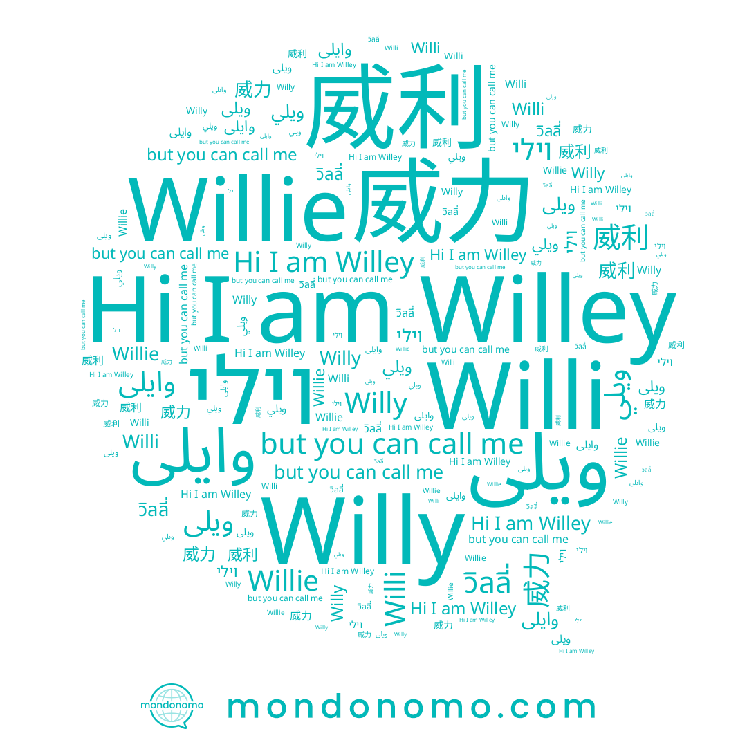 name 威力, name Willi, name วิลลี่, name ويلى, name Willie, name 威利, name Willy, name Willey, name וילי, name ويلي