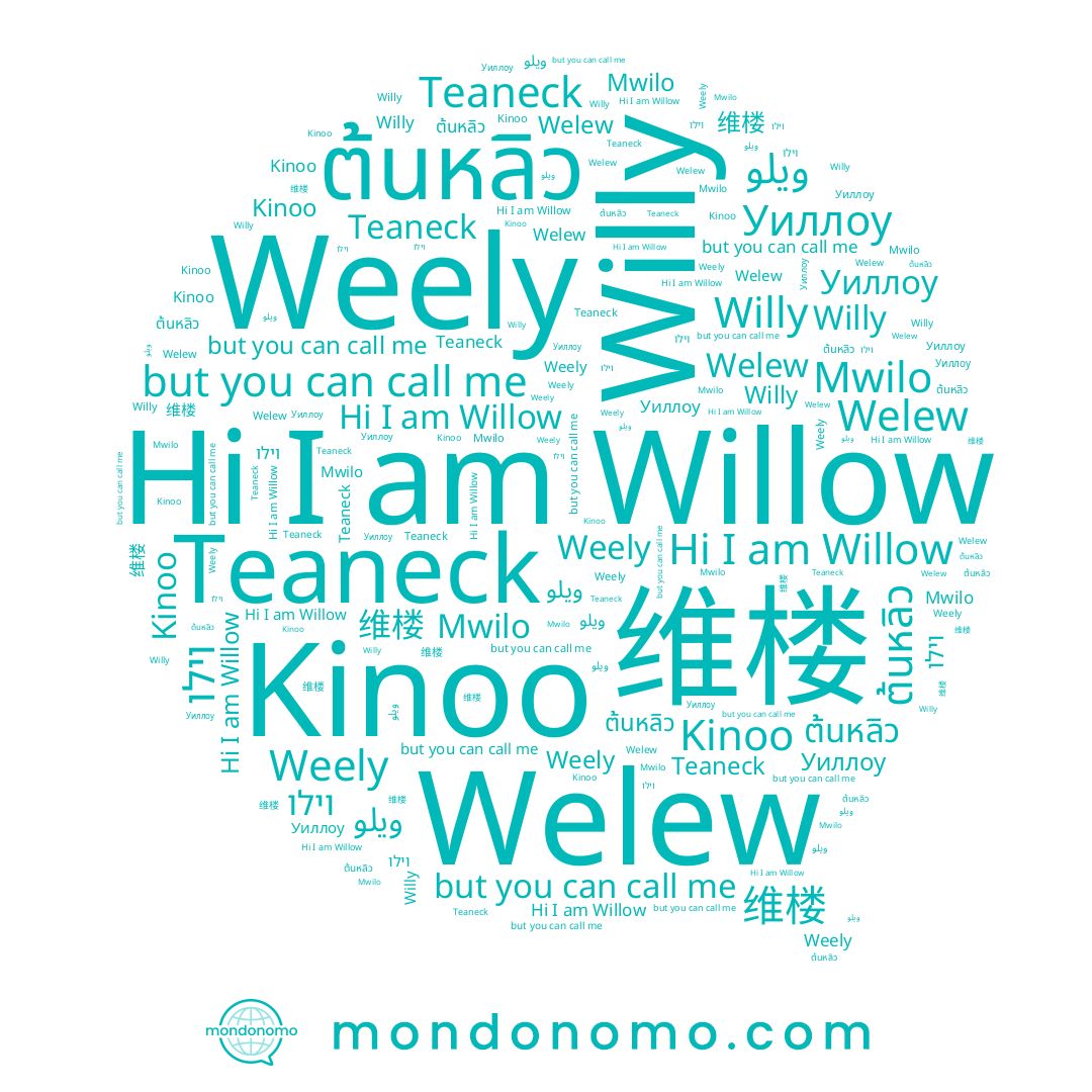 name Willow, name ويلو, name Уиллоу, name Weely, name 维楼, name Willy, name ต้นหลิว, name Kinoo, name Mwilo, name Welew, name וילו