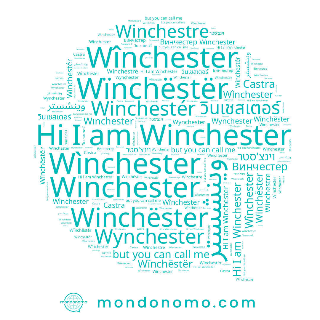 name Wìnchester, name Winchestre, name Wınchester, name Winchestér, name וינצ'סטר, name Winchëster, name Wynchester, name วินเชสเตอร์, name Castra, name Winchester, name Винчестер, name Wïnchëstër, name Wînchester