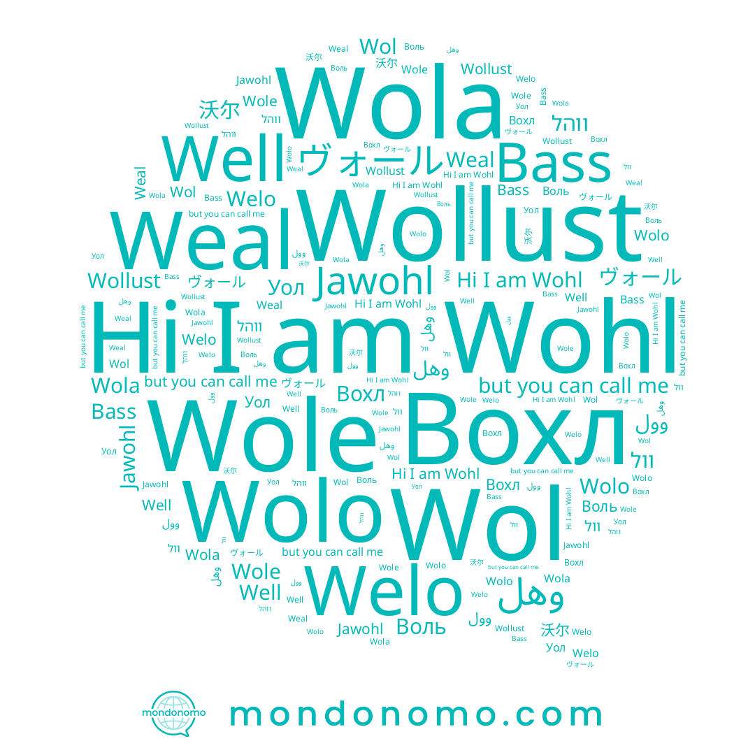 name وول, name وهل, name Wollust, name Well, name Welo, name 沃尔, name Wole, name וול, name Вохл, name Weal, name Wola, name Bass, name Jawohl, name Воль, name ווהל, name Wohl, name Wolo