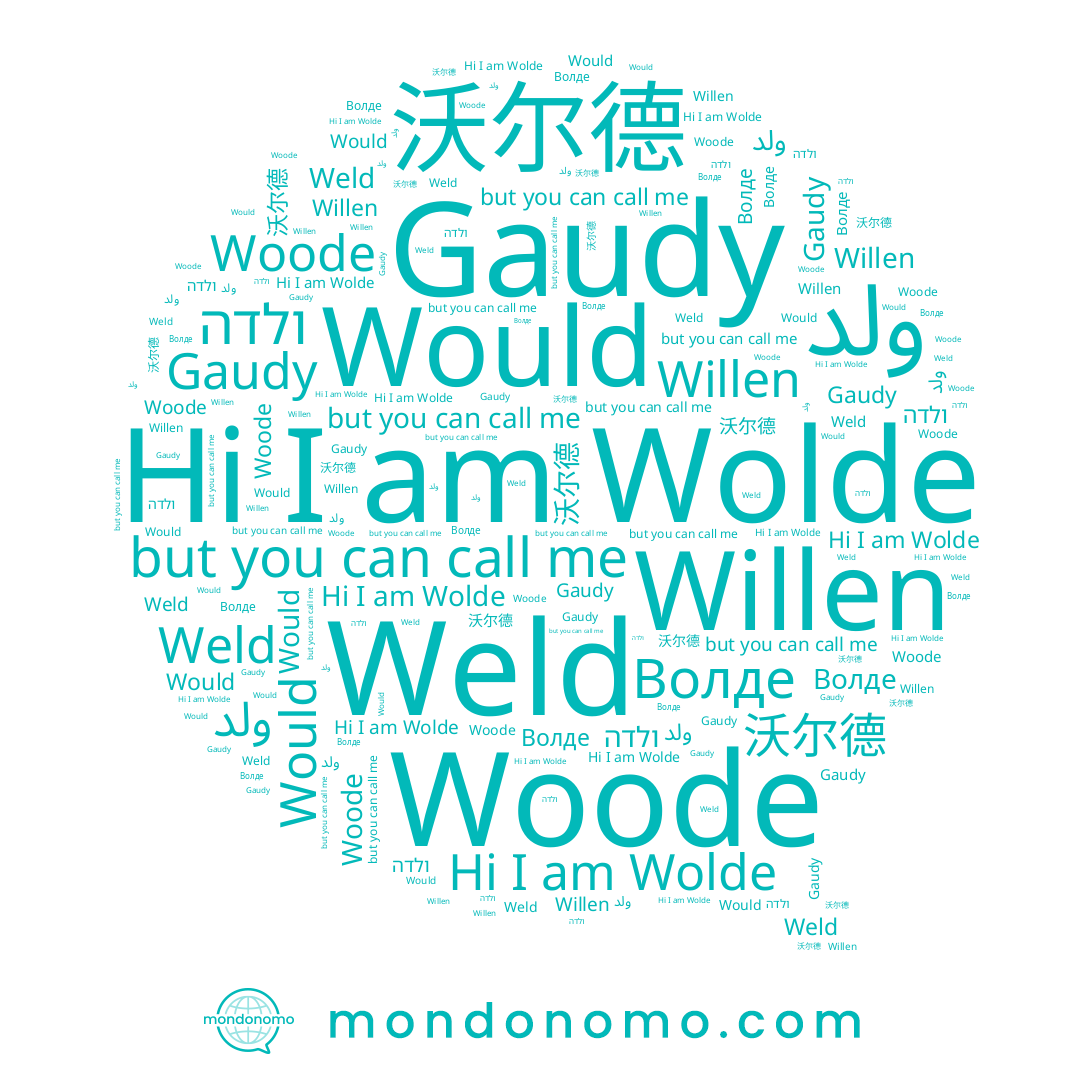 name Woode, name Волде, name Gaudy, name Wolde, name Weld, name Willen, name Would, name ولد, name ולדה, name 沃尔德