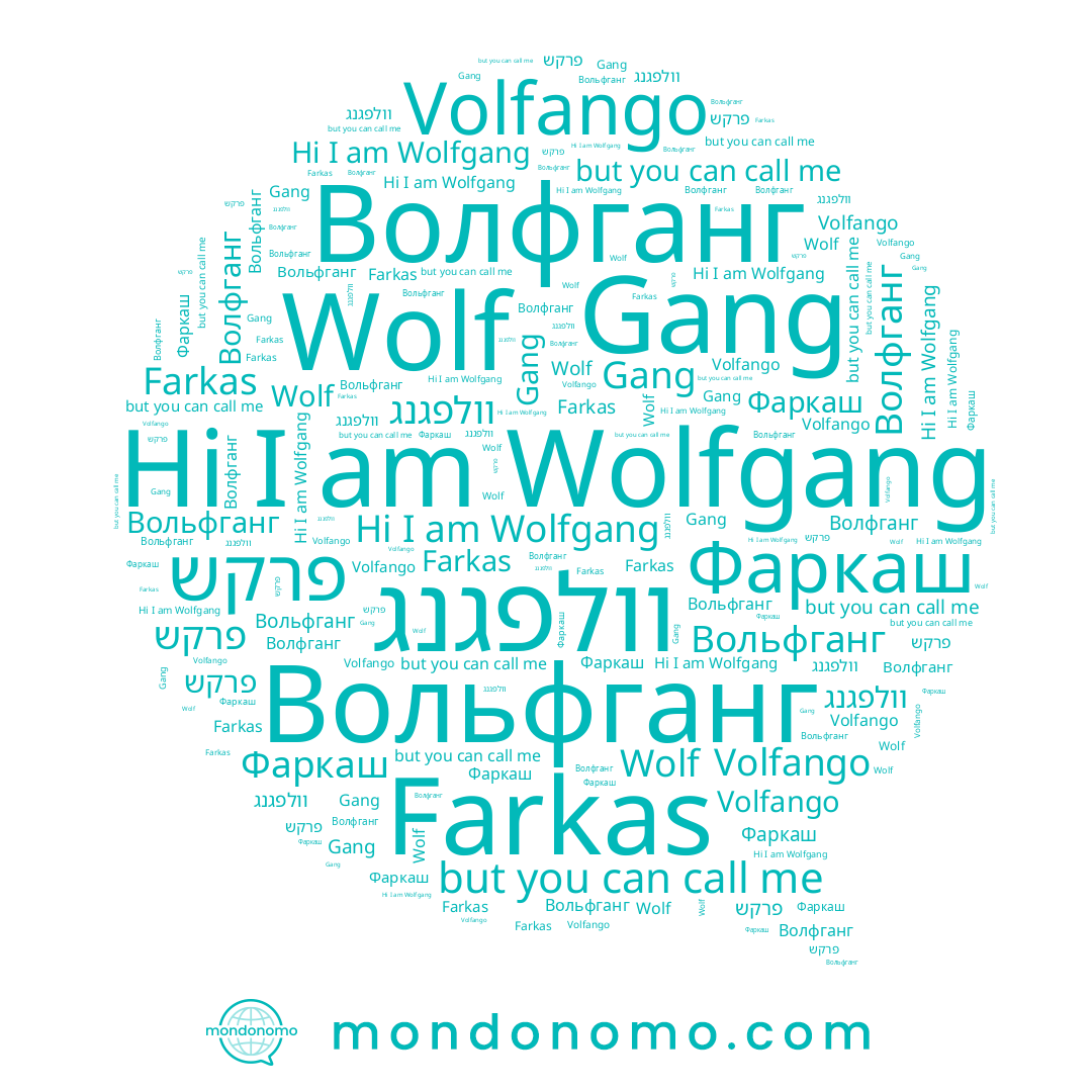 name Wolfgang, name Вольфганг, name וולפגנג, name Волфганг, name Volfango, name Gang, name Wolf, name פרקש, name Фаркаш, name Farkas