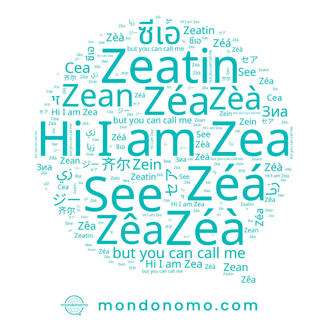 name 齐尔, name ซีเอ, name Zêa, name Zéa, name Zéá, name Zein, name Zea, name Zéà, name ジー, name Сеа, name Zeatin, name See, name Zean, name زي, name 지, name زيا, name Зиа, name Zèà, name セア