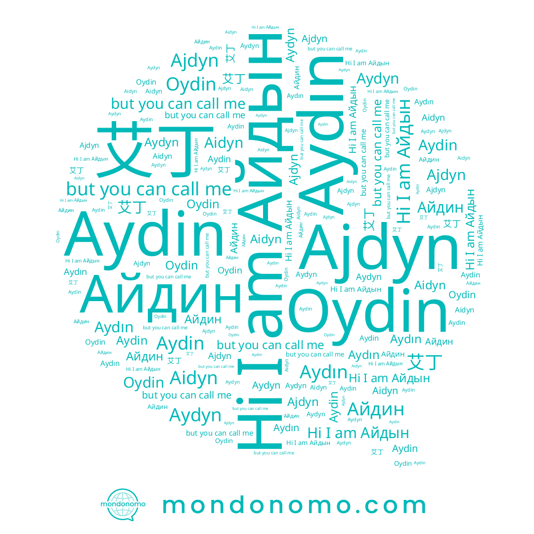 name Aidyn, name Aydin, name Айдын, name Айдин, name Aydyn, name Ajdyn, name Aydın, name 艾丁