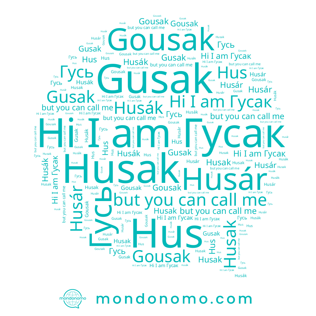 name Hus, name Husak, name Гусь, name Husák, name Гусак, name Gousak, name Husár, name Gusak