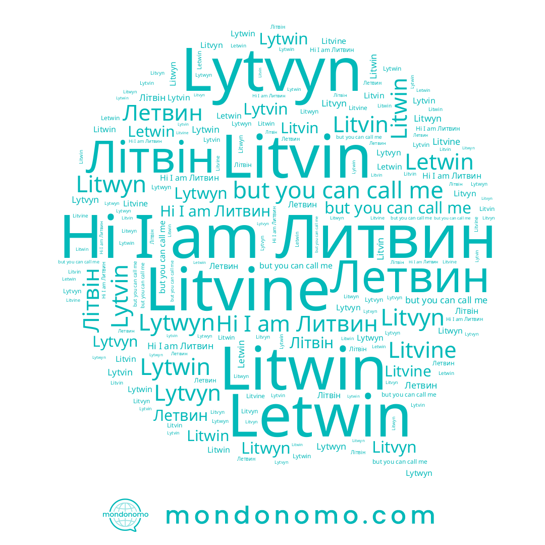 name Литвин, name Litvin, name Lytvyn, name Litvyn, name Litwyn, name Літвін, name Litwin, name Lytwyn, name Lytwin, name Летвин, name Lytvin, name Letwin, name Litvine
