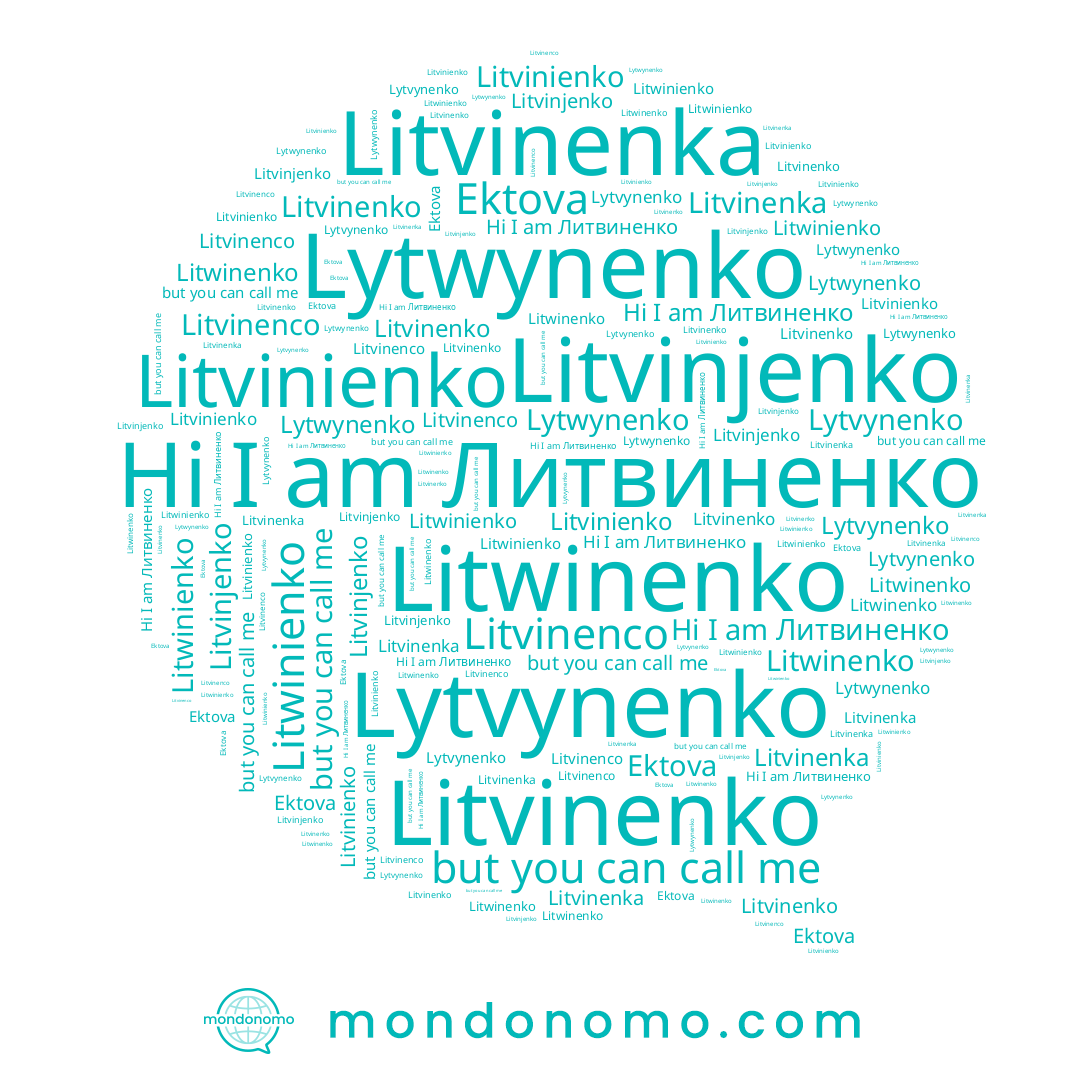 name Литвиненко, name Litvinenco, name Ektova, name Lytwynenko, name Lytvynenko, name Litwinienko, name Litvinenko, name Litwinenko