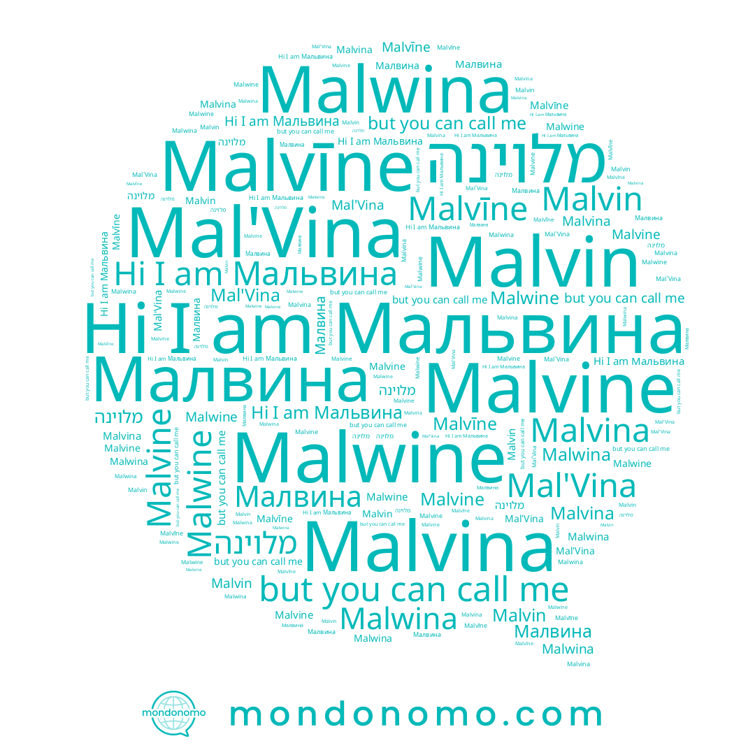 name Malvīne, name Malwina, name Малвина, name Malwine, name Malvina, name Мальвина, name מלוינה, name Malvin, name Malvine