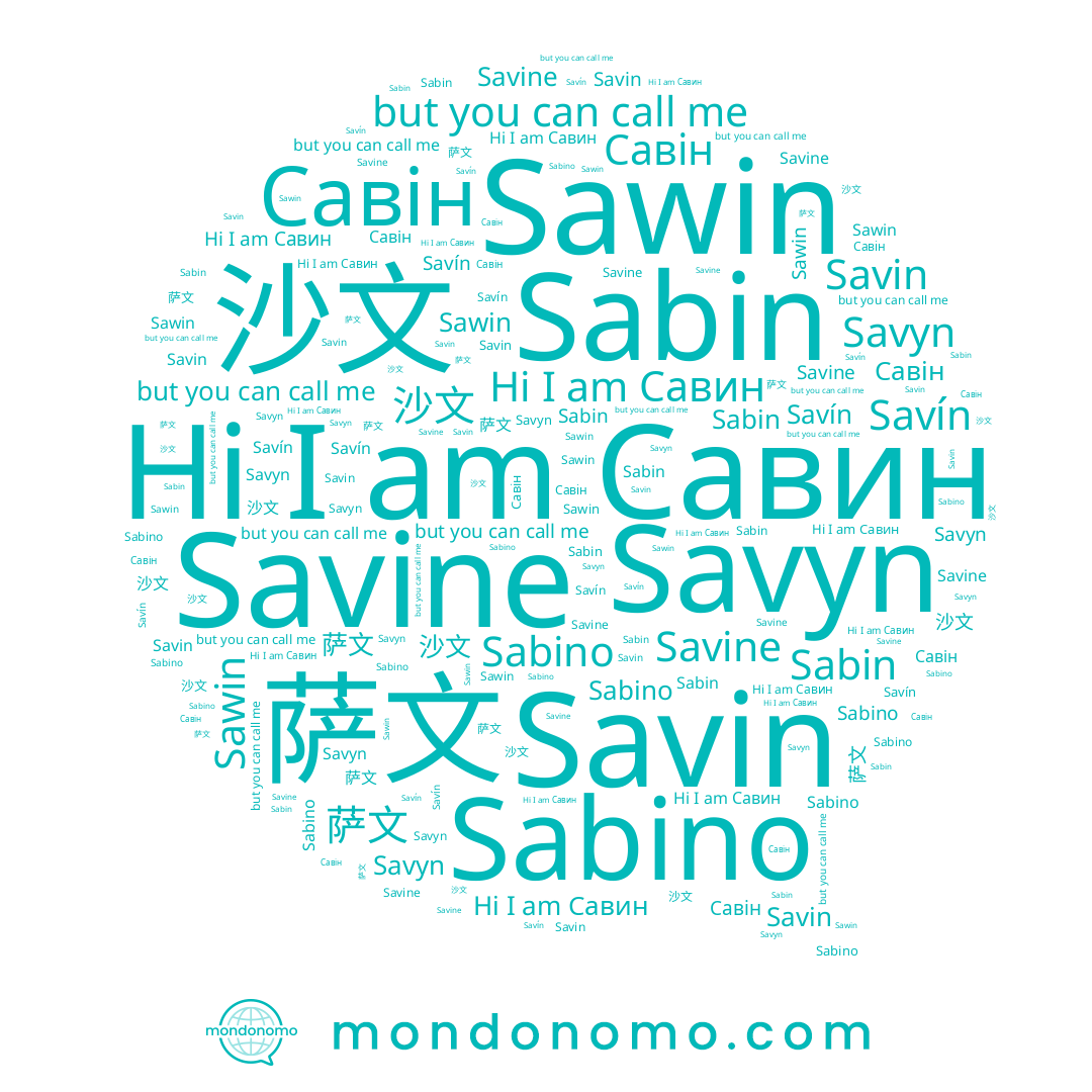 name Savyn, name 萨文, name Savine, name Sabin, name Савин, name Sabino, name 沙文, name Savin, name Савін, name Sawin