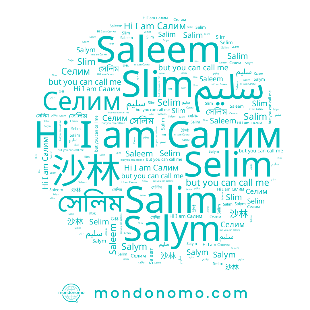 name سليم, name Selim, name Селим, name 沙林, name Салим, name Salim, name Saleem, name Slim, name সেলিম
