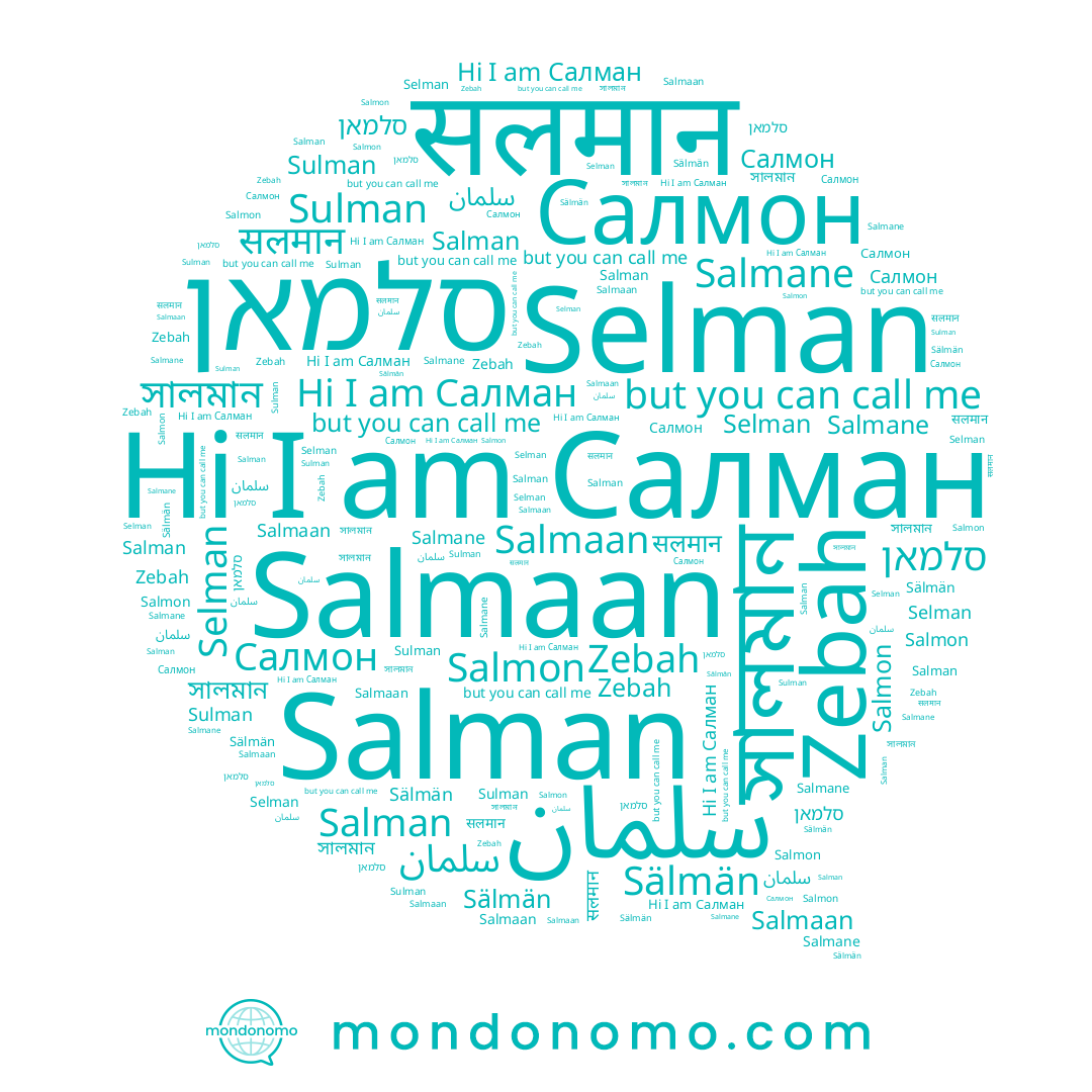 name Salman, name Sulman, name Салмон, name Salmaan, name سلمان, name सलमान, name Salmane, name Sälmän, name Салман, name সালমান, name סלמאן, name Zebah, name Salmon, name Selman
