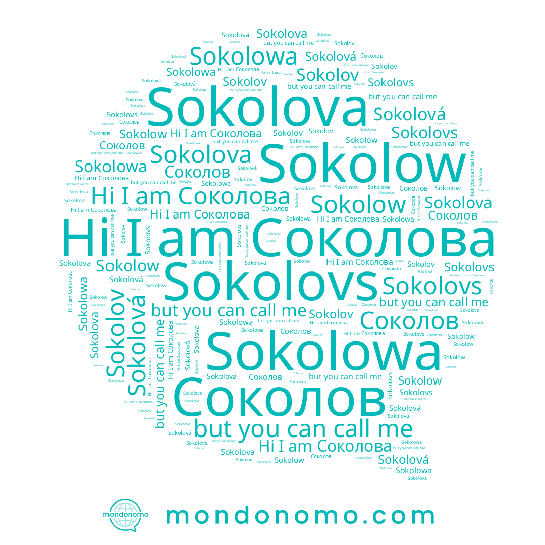 name Sokolovs, name Соколова, name Sokolová, name Sokolova, name Sokolowa, name Sokolow, name Sokolov, name Соколов