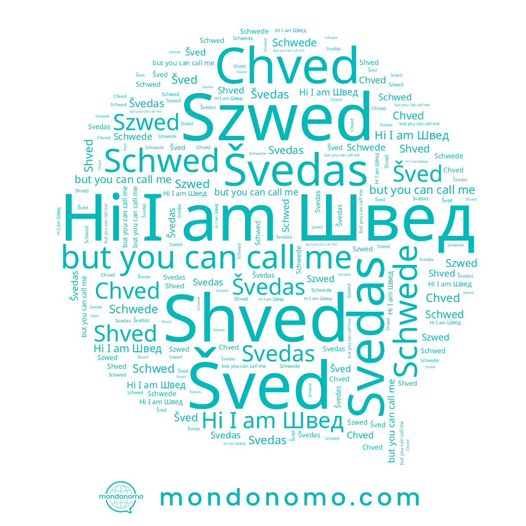 name Schwed, name Szwed, name Švedas, name Shved, name Schwede, name Chved, name Svedas, name Швед