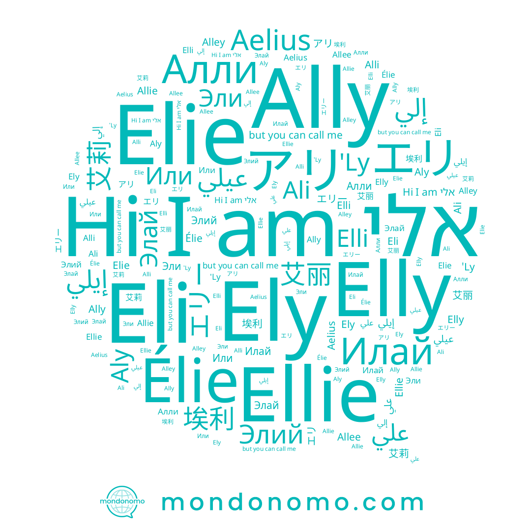 name Aly, name エリー, name Ali, name Élie, name عيلي, name Elie, name Эли, name エリ, name Alli, name アリ, name Eli, name Элай, name 埃利, name Или, name إلي, name Ally, name Элий, name علي, name Allee, name 'Ly, name 艾莉, name Allie, name 艾丽, name Elly, name Aelius, name אלי, name Илай, name Elli, name إيلي, name Ely, name Ellie, name Алли, name Alley