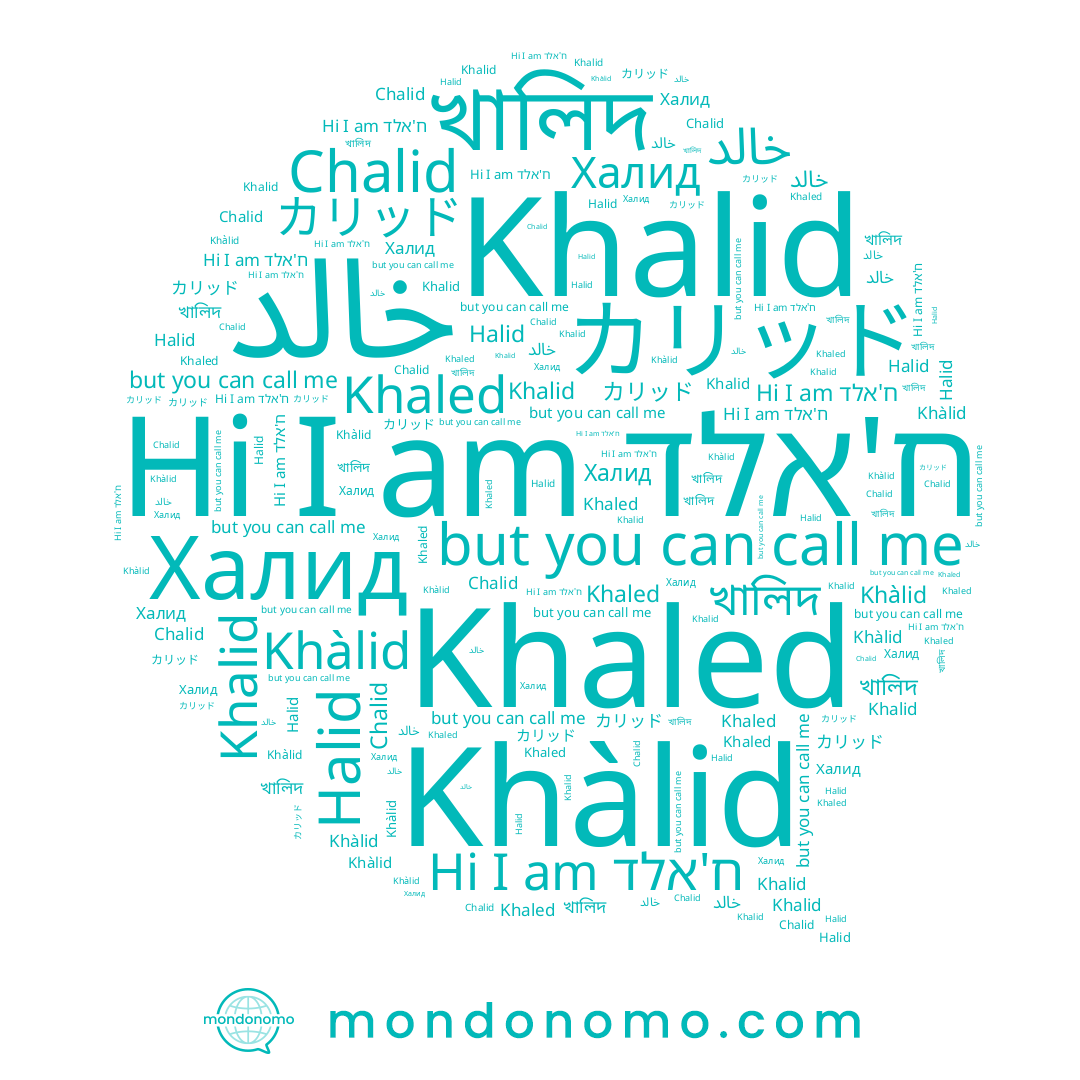 name Khalid, name খালিদ, name Halid, name خالد, name Khàlid, name Khaled, name Chalid, name カリッド, name Халид, name ח'אלד
