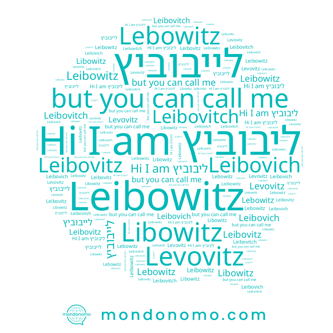 name Lebowitz, name Leibovitch, name Levovitz, name Leibowitz, name Leibovitz, name לייבוביץ, name Libowitz, name Leibovich, name ליבוביץ