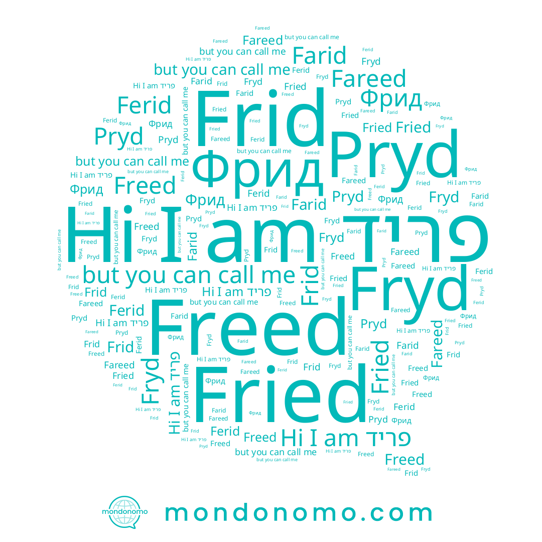 name Fried, name Fryd, name Frid, name פריד, name Freed, name Farid, name Ferid, name Fareed, name Фрид, name Pryd