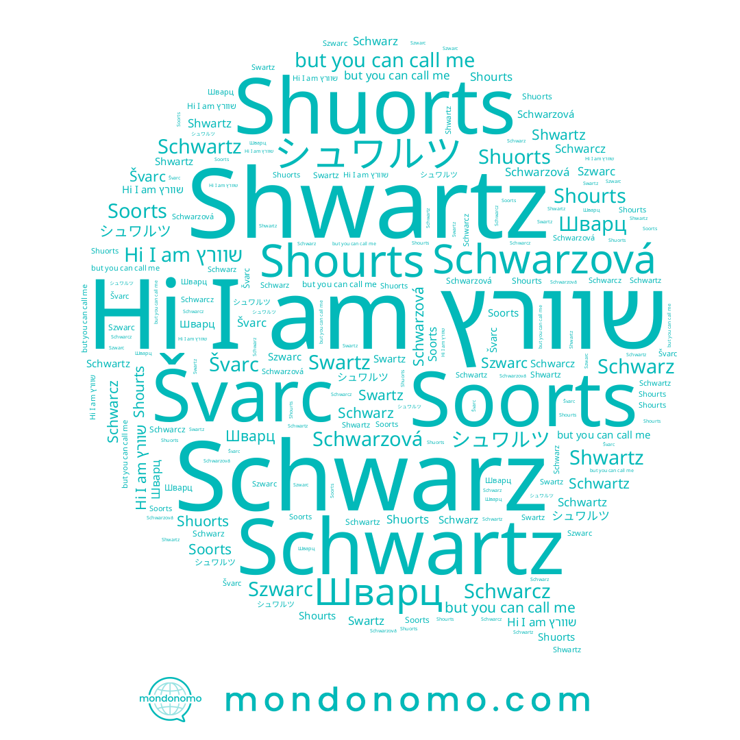 name Schwarz, name Švarc, name Swartz, name Shuorts, name Schwarcz, name Shourts, name シュワルツ, name Schwarzová, name Schwartz, name שוורץ, name Soorts, name Szwarc, name Шварц, name Shwartz