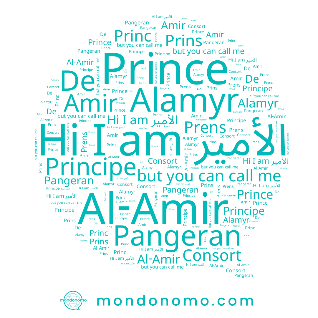 name الأمير, name Princ, name Al-Amir, name Alamyr, name Prens, name Prins, name Amir, name Pangeran, name Prince, name De, name Principe