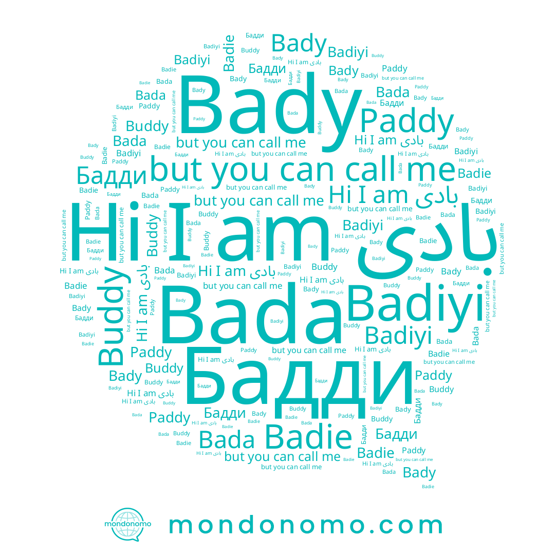 name Бадди, name Buddy, name Bady, name Bada, name بادى, name Paddy, name Badie