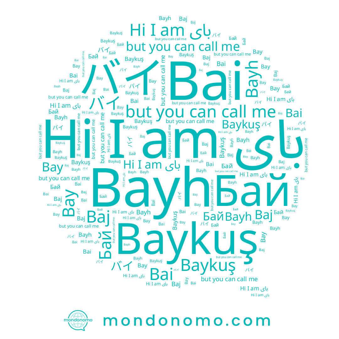 name Bai, name بای, name Baykuş, name Bay, name Bayh, name Бай, name バイ, name Baj